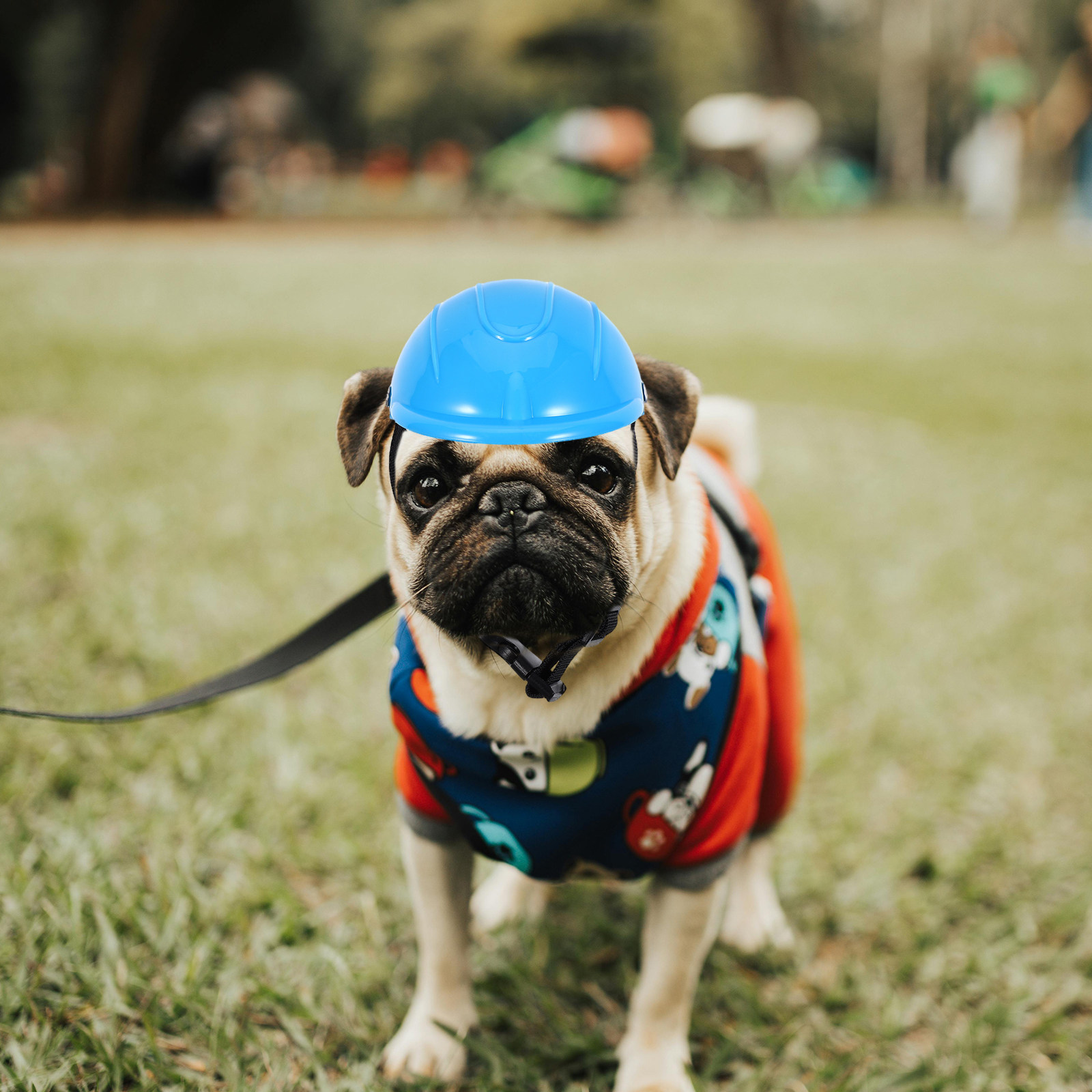 Motorcycle Gear For Dogs - Casco Protettivo Regolabile per Cani di