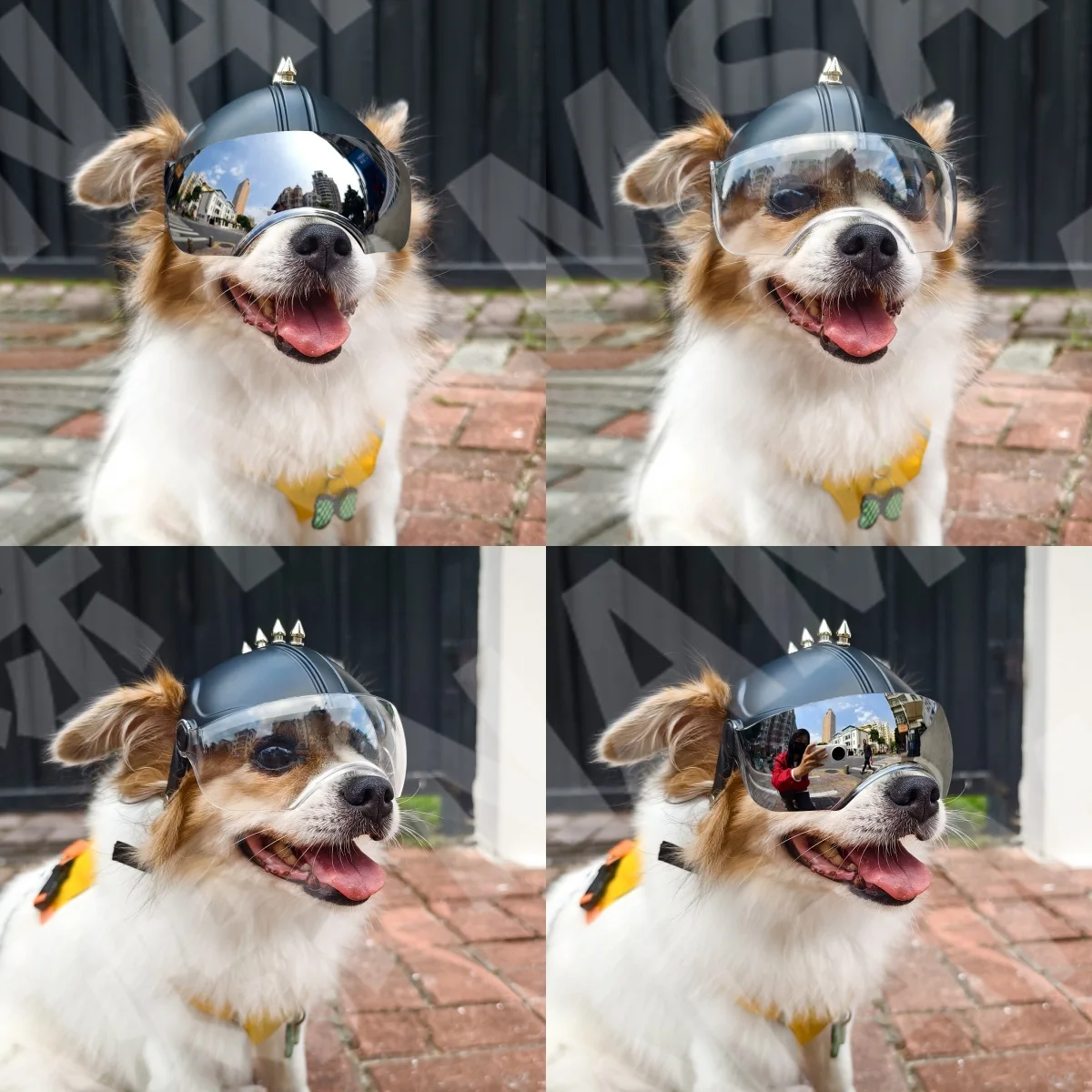 Casco e Occhiali da Moto 2-in- - Motorcycle Gear For Dogs recensione e prezzo