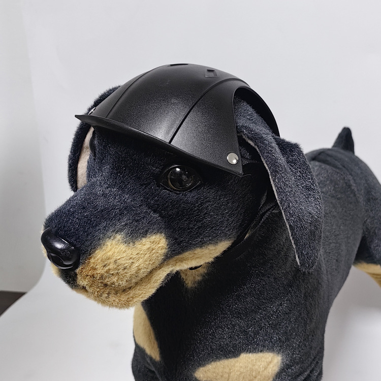 Casco di sicurezza per cani di - Motorcycle Gear For Dogs recensione e prezzo