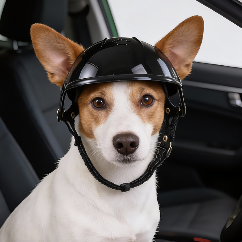 Casco per Animali Domestici pe - Motorcycle Gear For Dogs recensione e prezzo
