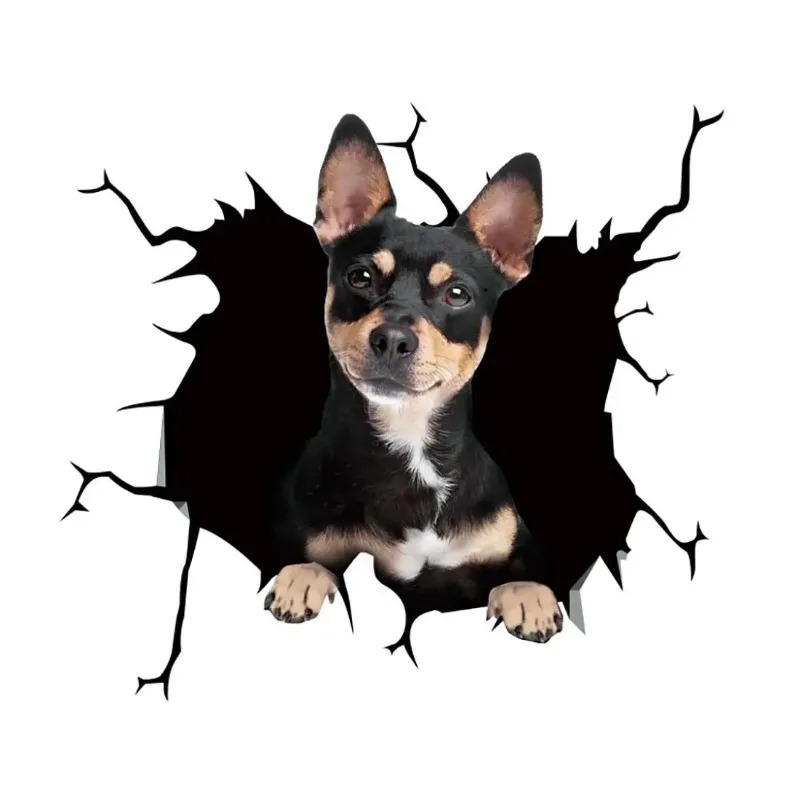 Adesivo in vinile impermeabile - Motorcycle Gear For Dogs recensione e prezzo