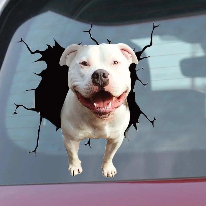 Adesivo in vinile impermeabile - Motorcycle Gear For Dogs recensione e prezzo